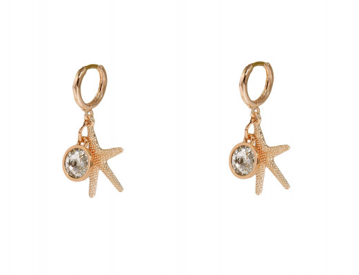 PCL13F Cango&Rinaldi fülbevaló(02)