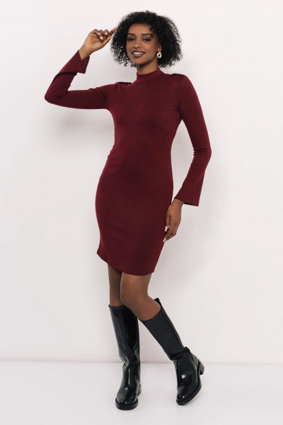 Amnesia ruha (Duby) 252404