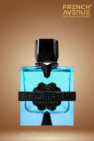 French Avenue férfi parfüm (Magnetiq Aromatix PAR U 100 ml) ARP034