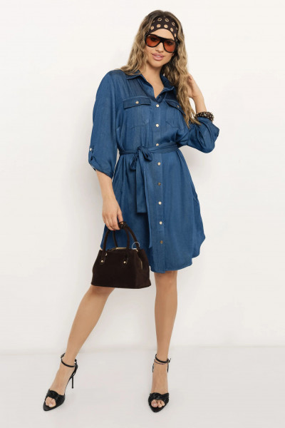 Amnesia ingruha (Ébia) 261228